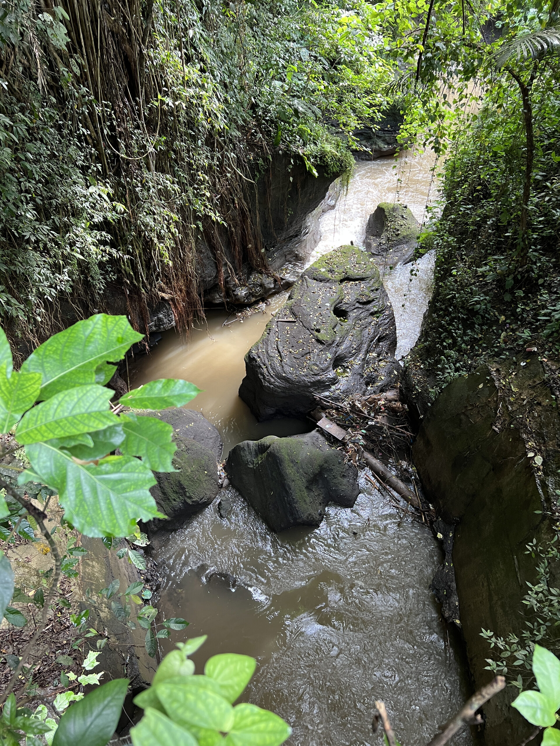 bali-java-g01