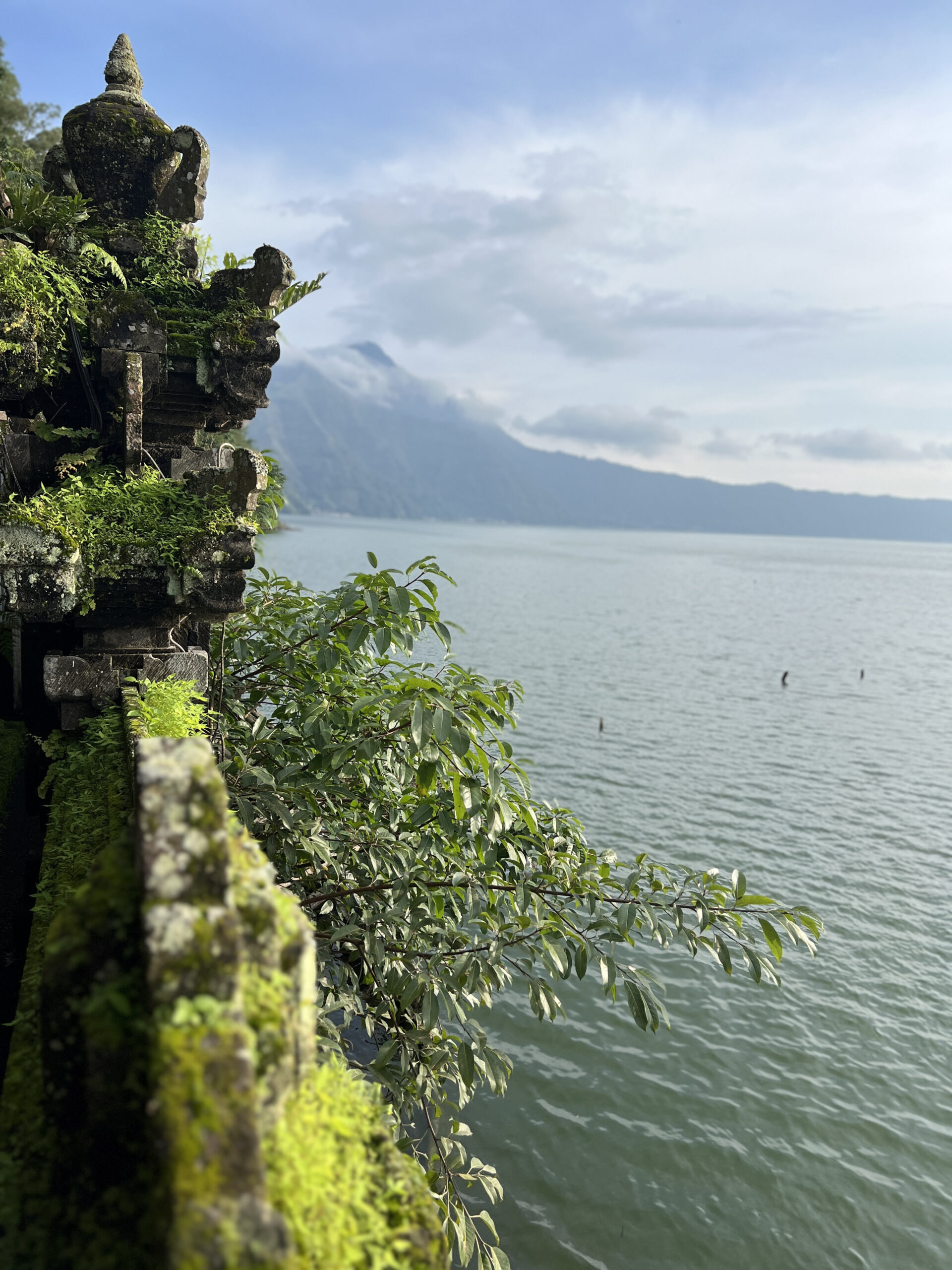 bali-java-g06